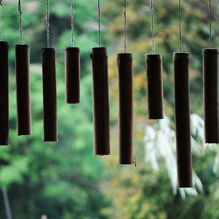 Zen Home Resort & Garden @ パヤオ エクステリア 写真