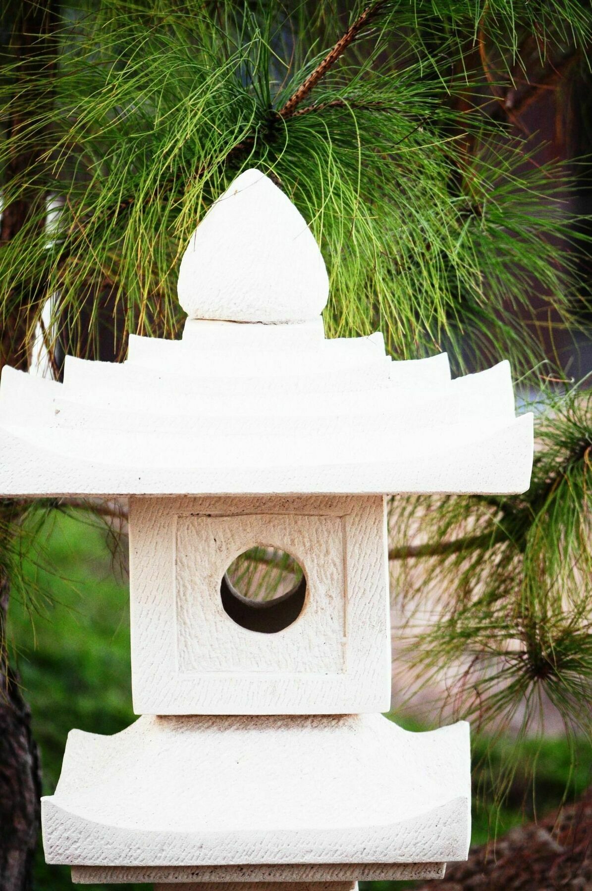 Zen Home Resort & Garden @ パヤオ エクステリア 写真